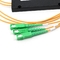 Diviseur optique de fibre de l'ABS G657 de FTTH, perte de retour du diviseur 50dB du PLC 1x32